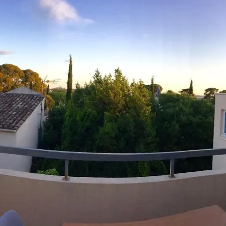 Colombet Stay'S-339Aig Montpellier